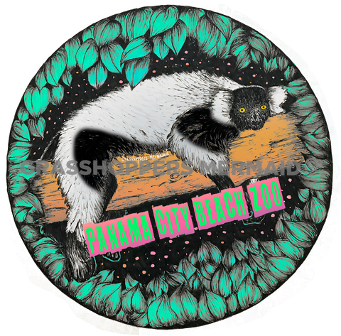 Ruffed Lemur