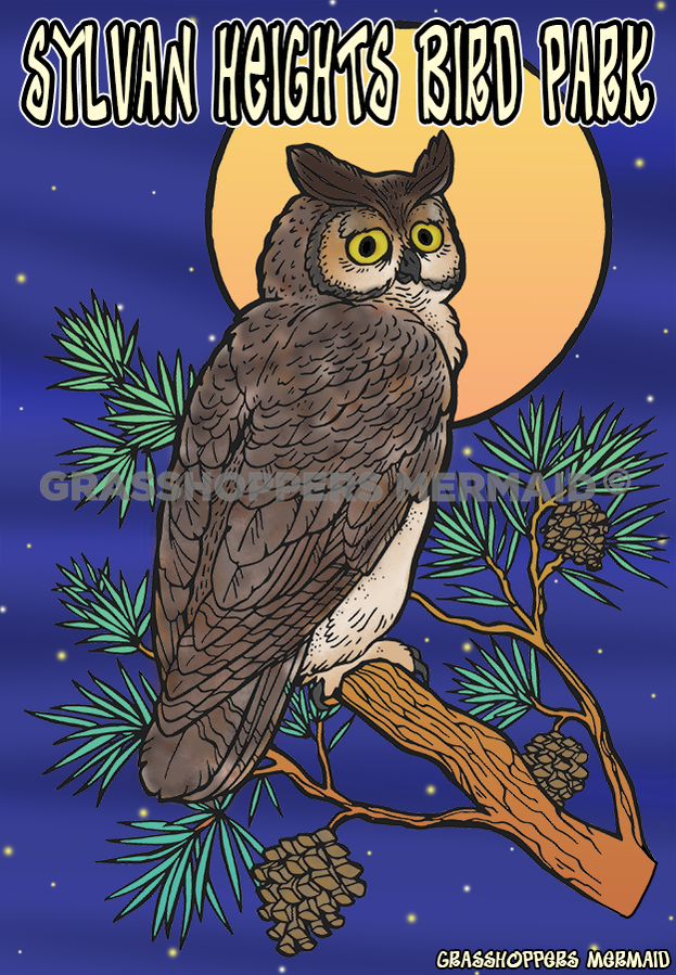 Great Horned Owl