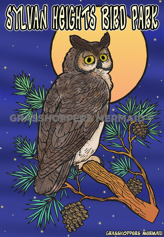 Great Horned Owl