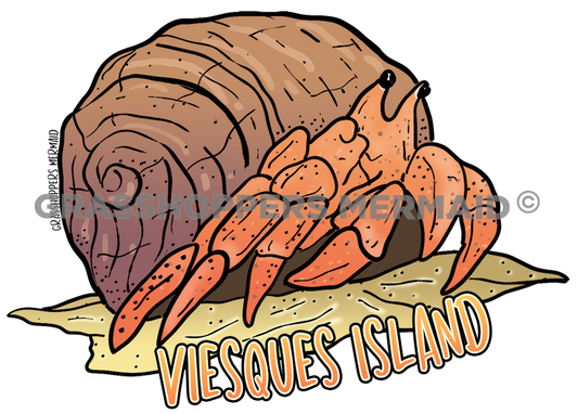 Hermit Crab