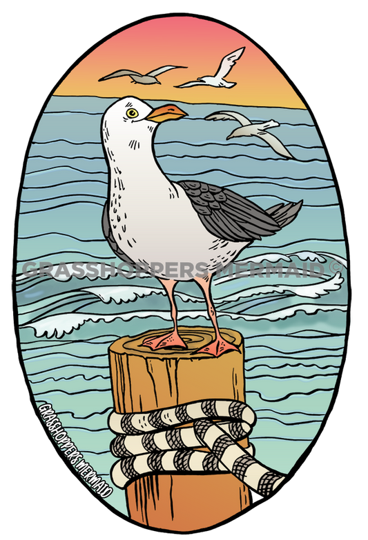 Seagull Sunset