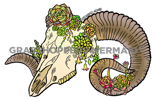 Desert Skull & Succulents