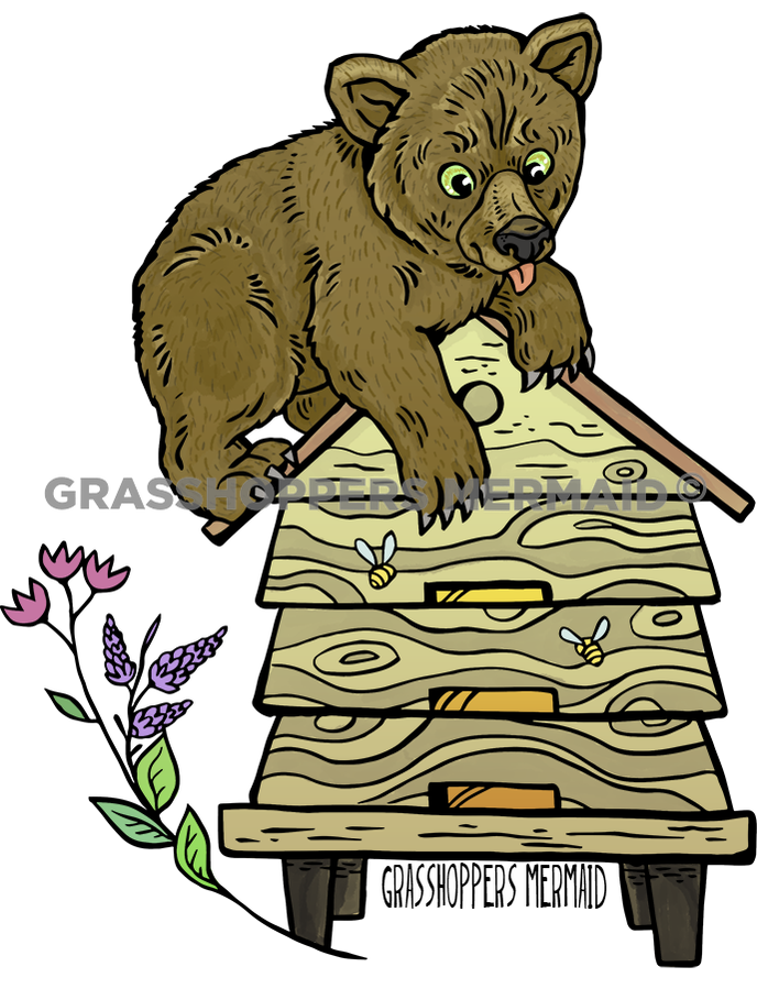 Baby Bear Hive