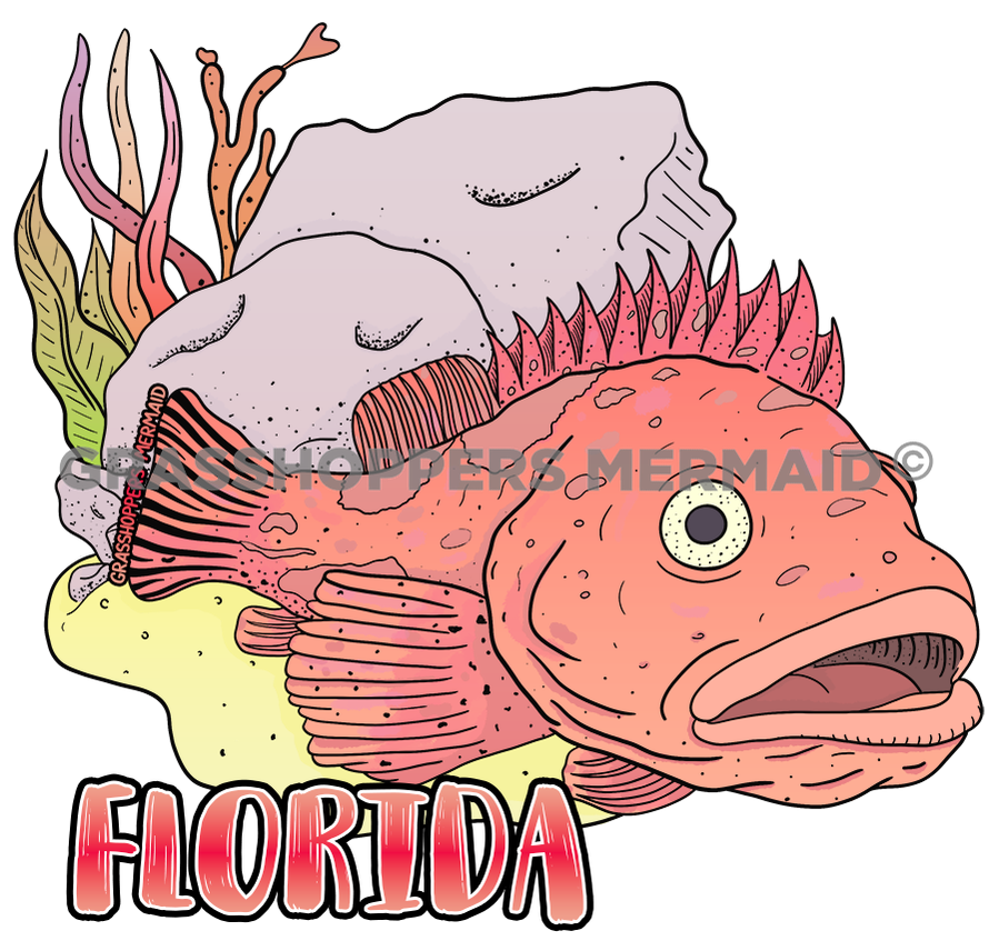 Rockfish