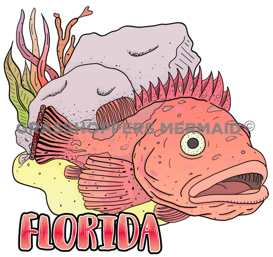 Rockfish