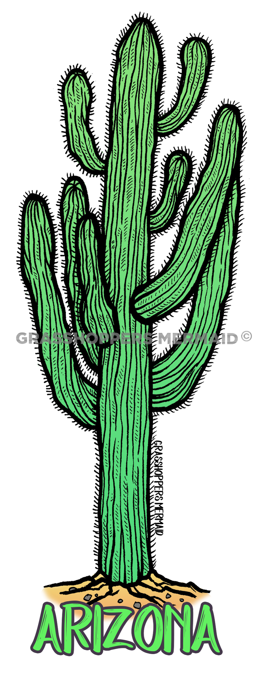 Saguaro Cactus
