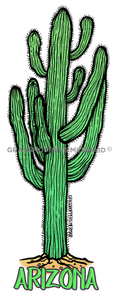 Sahuaro Cactus