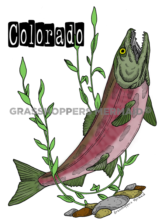 Salmon Rocks
