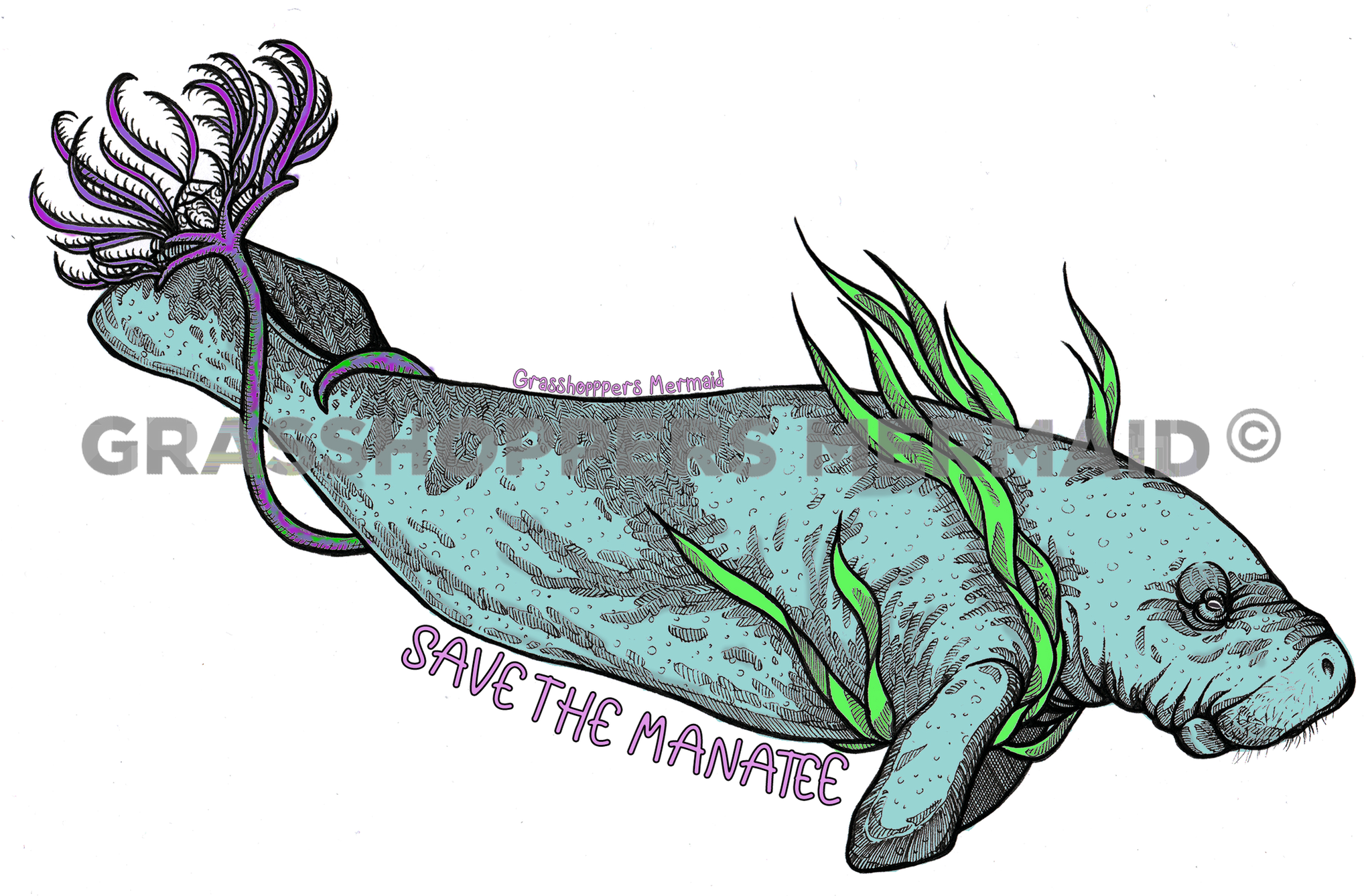 Save the Manatee