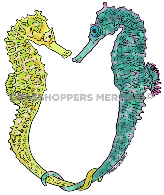 Seahorse Love