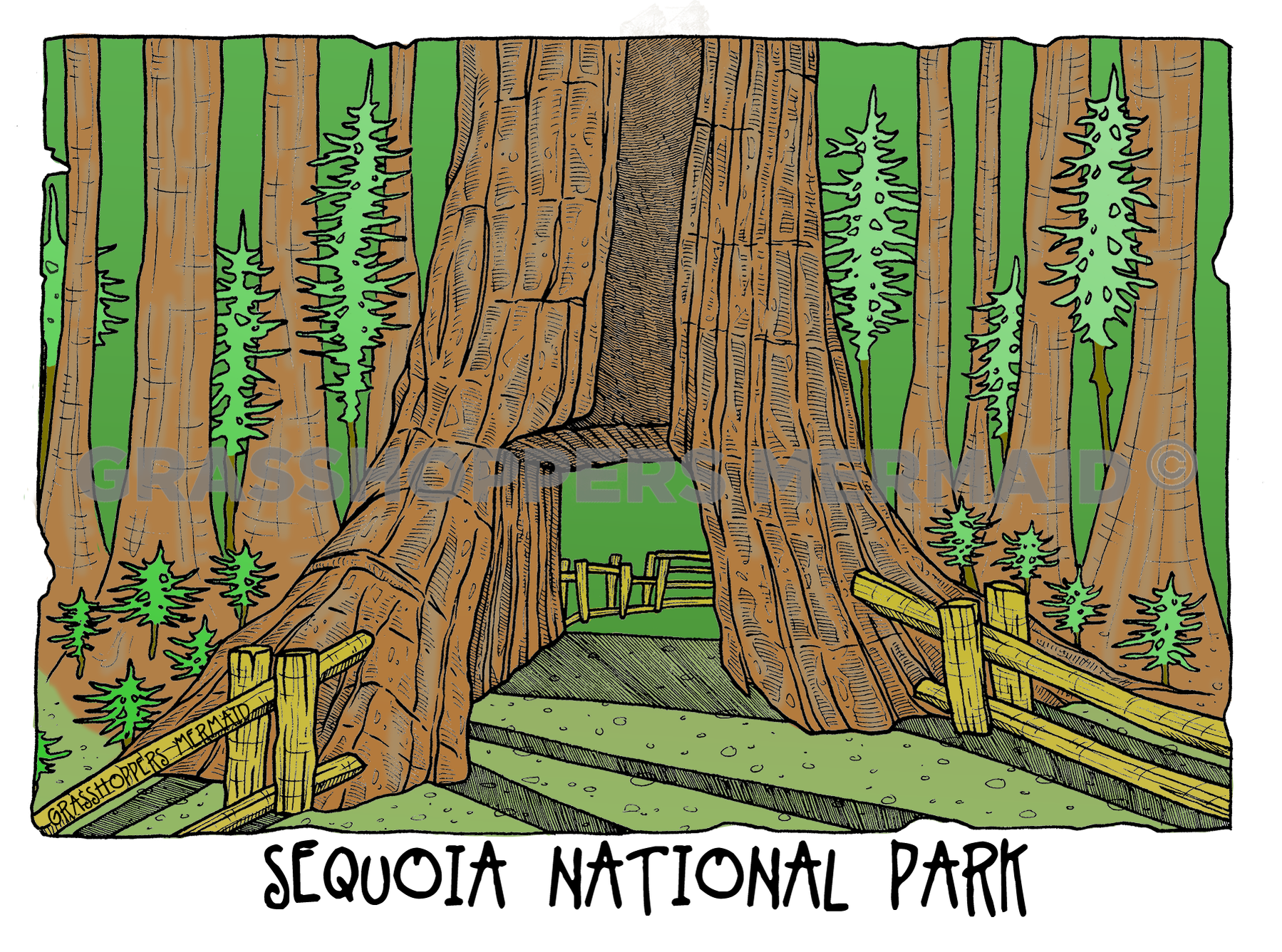 Redwoods