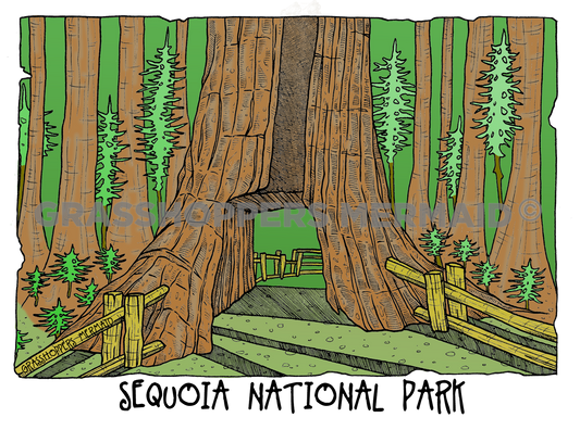 Redwoods