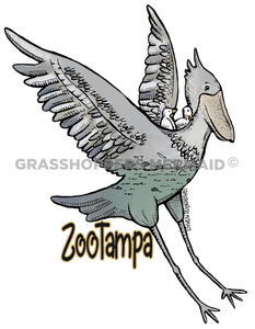 Shoebill