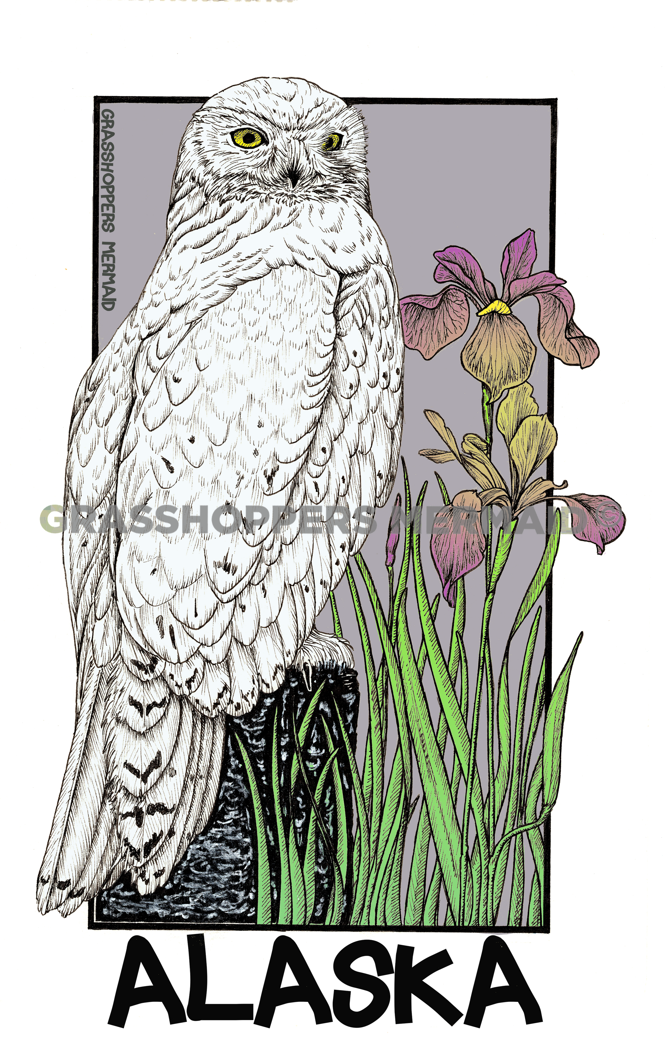 Snowy Owl