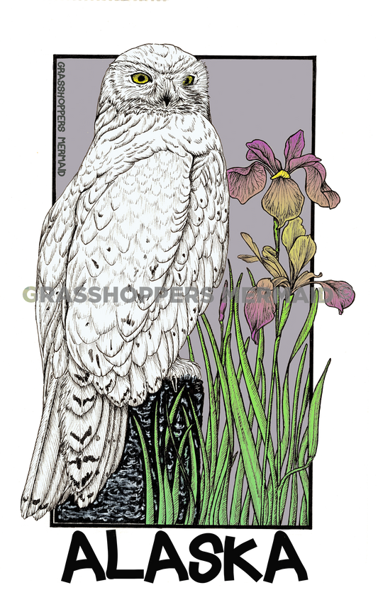 Snowy Owl