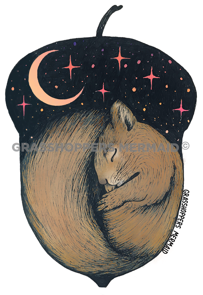 Squirrel Dreams