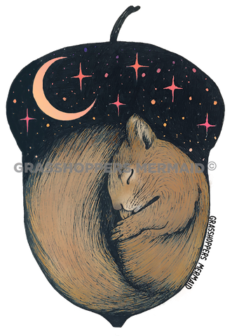 Squirrel Dreams
