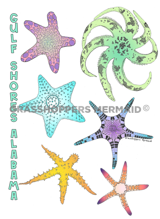 Starfish Family