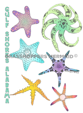 Starfish Family