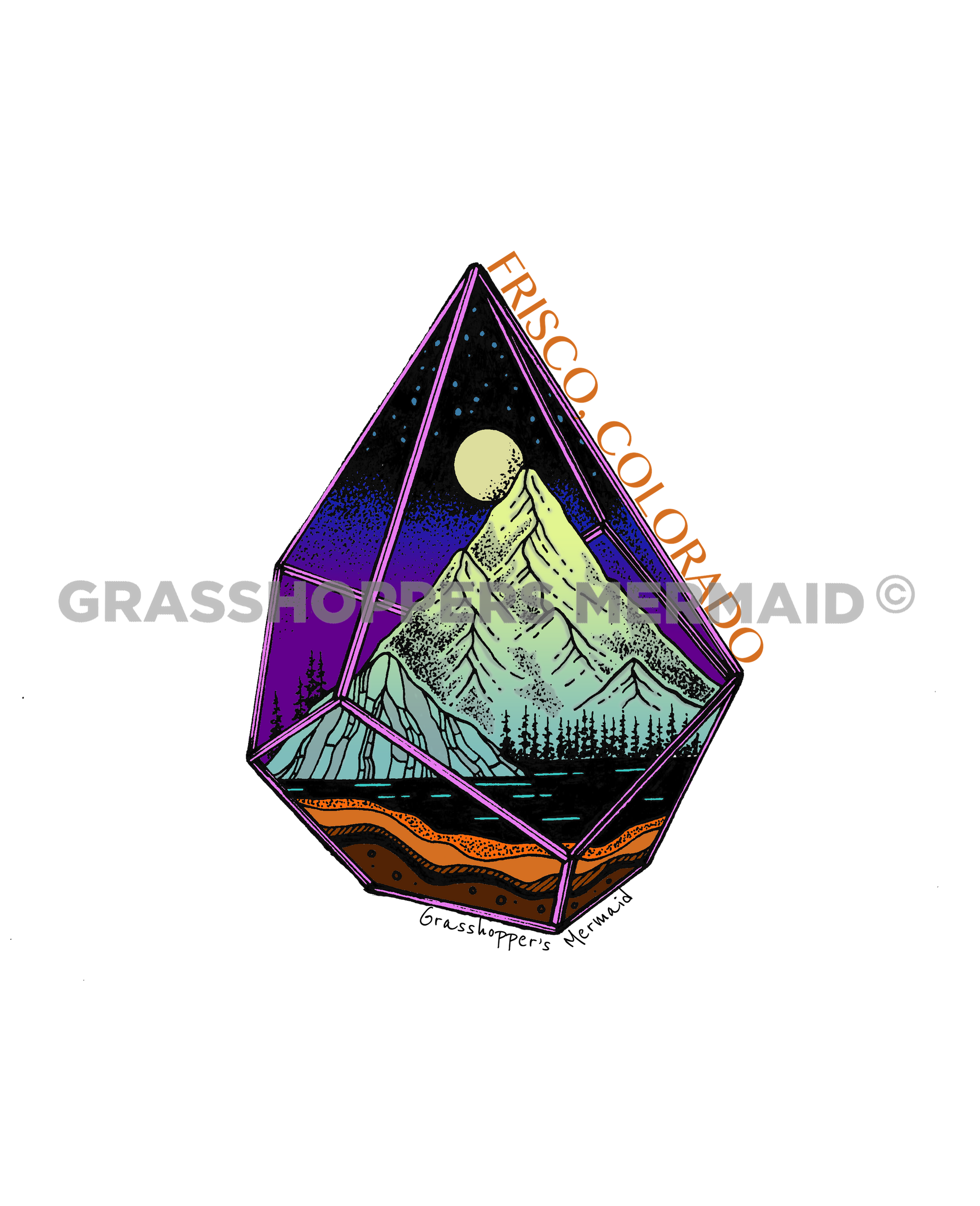 Starry Wild Terrarium