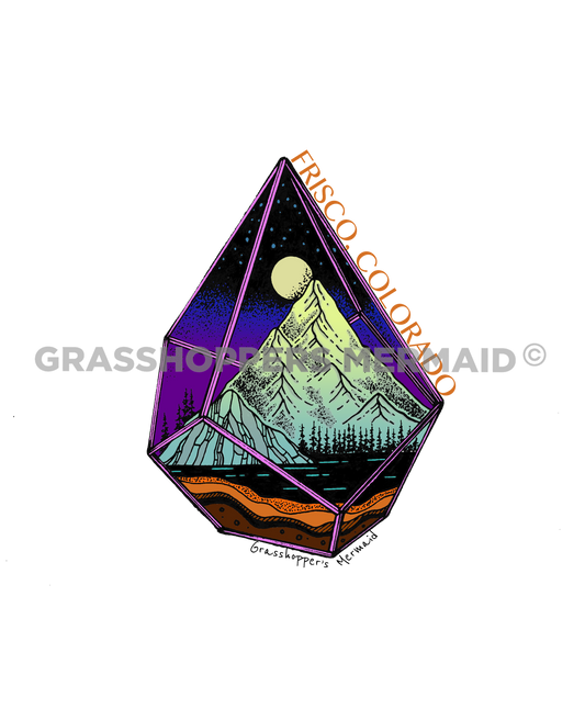 Starry Wild Terrarium