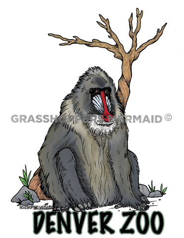 The Mandrill