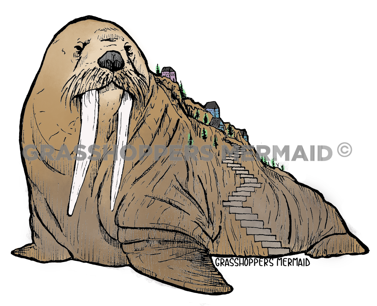 Walrus City