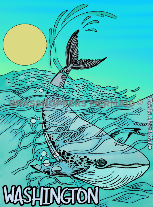 Whale Splash