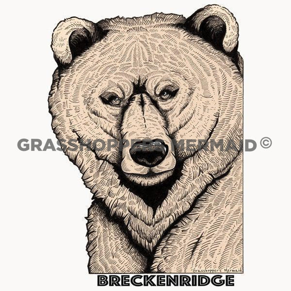 breckenridge colorado bear sticker