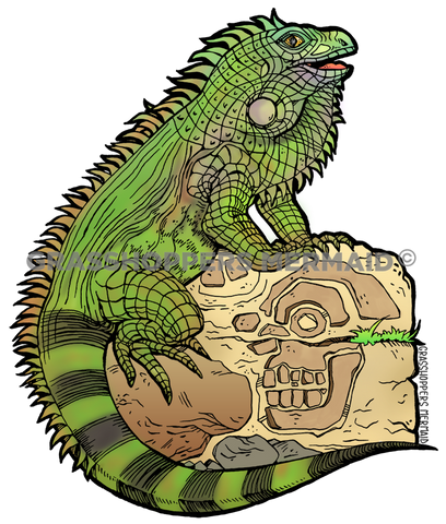 Incan Iguana