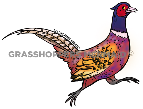 Pheasant