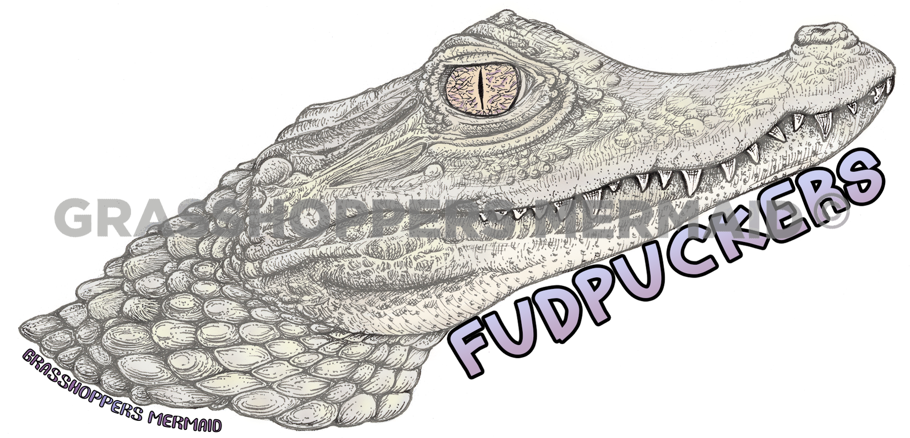 Albino Alligator