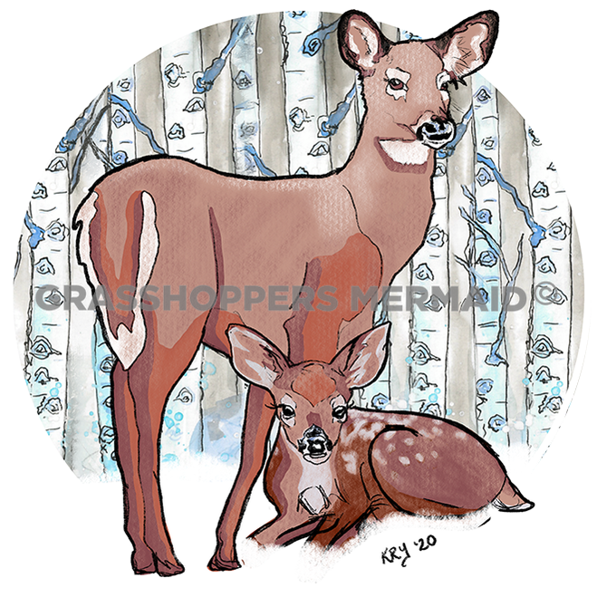 Deer in Birch Forest