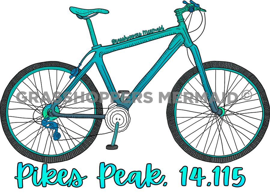 Mountain Bike Solo