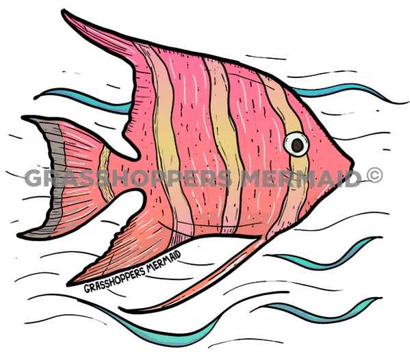 Angelfish