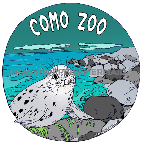 Harbor Seal Coastline