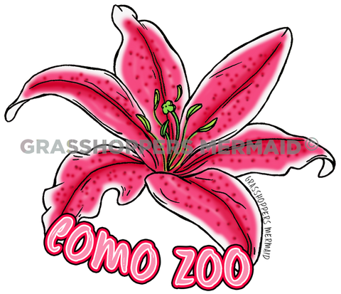 Stargazer Lilly