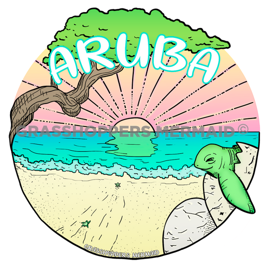 Divi Divi Turtle Journey