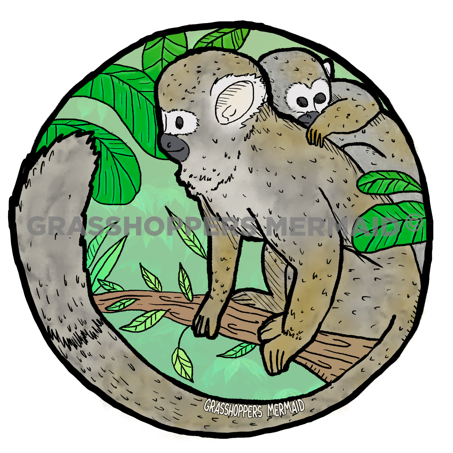Spider Monkey