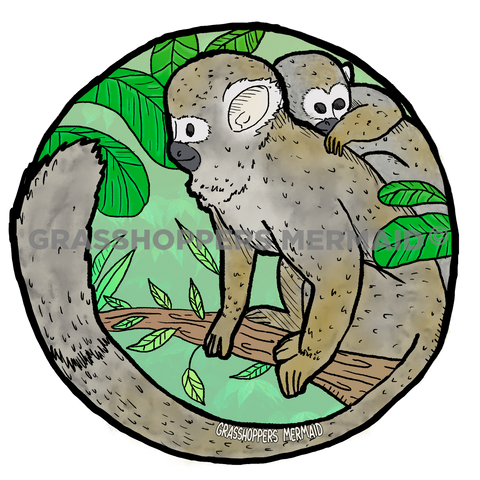 Spider Monkey