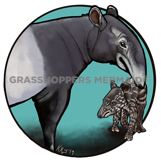 Tapir Family