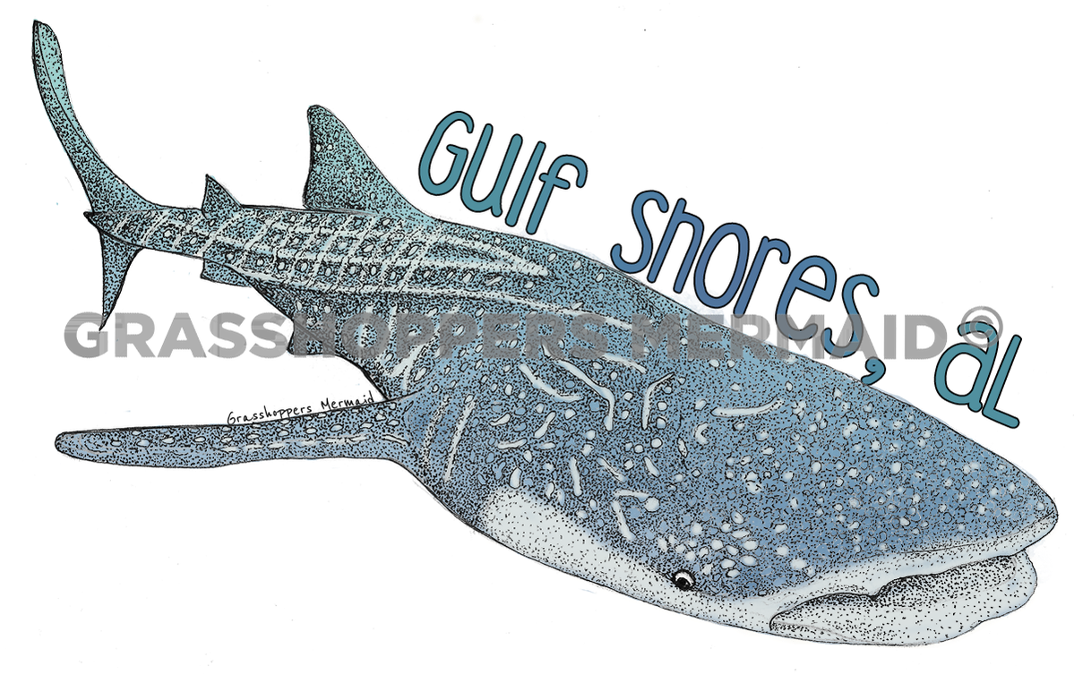 Whale Shark